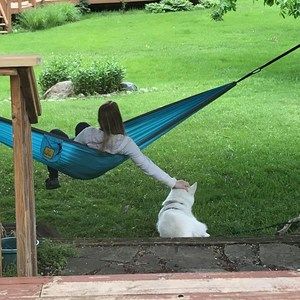 Meet your Posher, Katie